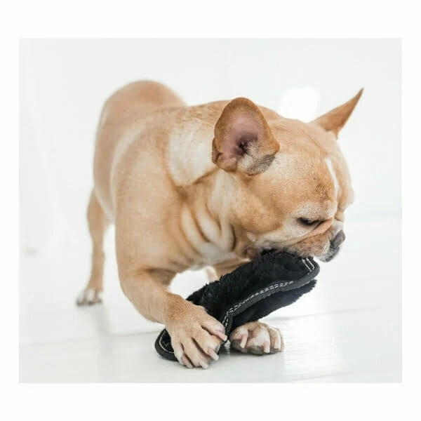 בובת פנתר שחור עמידה Small - Outward Hound - Image 2